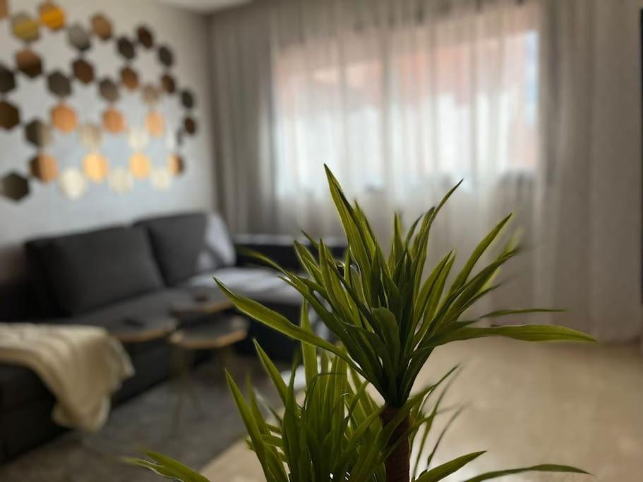 Lovely Family In Marrakech Appartement *